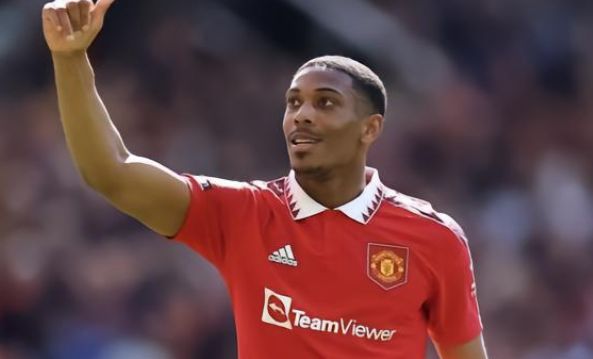 展现了其巨 展现了其巨