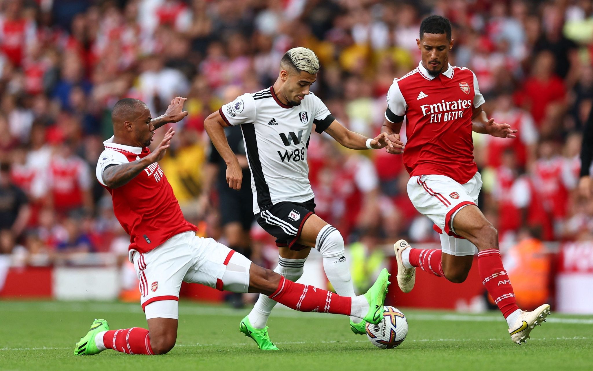 就能部分削 就能部分削